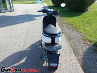 NEOs 50